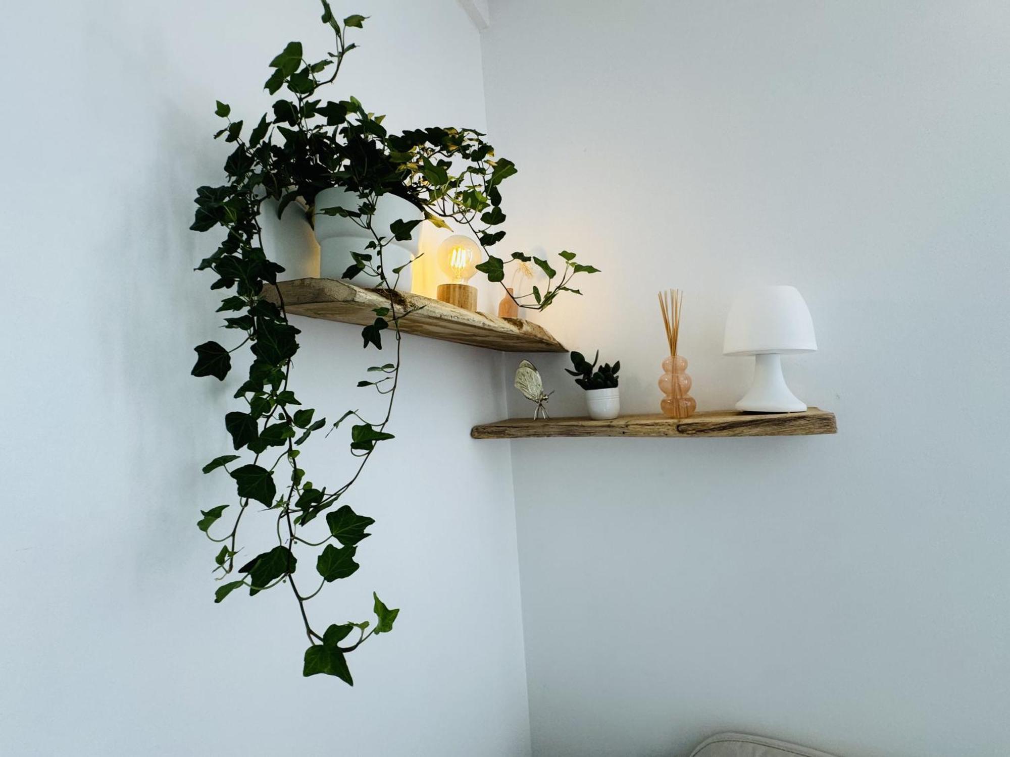 Le Piccolo - Appartement Cosy - Wifi Bègles Exteriér fotografie